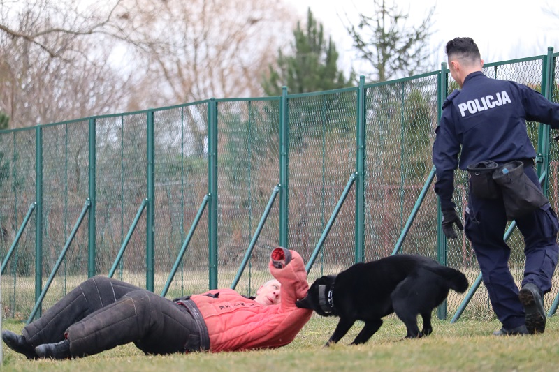 zdjęcie przedstawijące pokaz psa policyjnego, funkcjonariuszy policji oraz grupa dzieci w bezpiecznej odległości