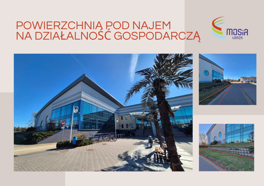 zdjęcia obiektu Park Wodny z zewnątrz, palma, chodnik, trawnik